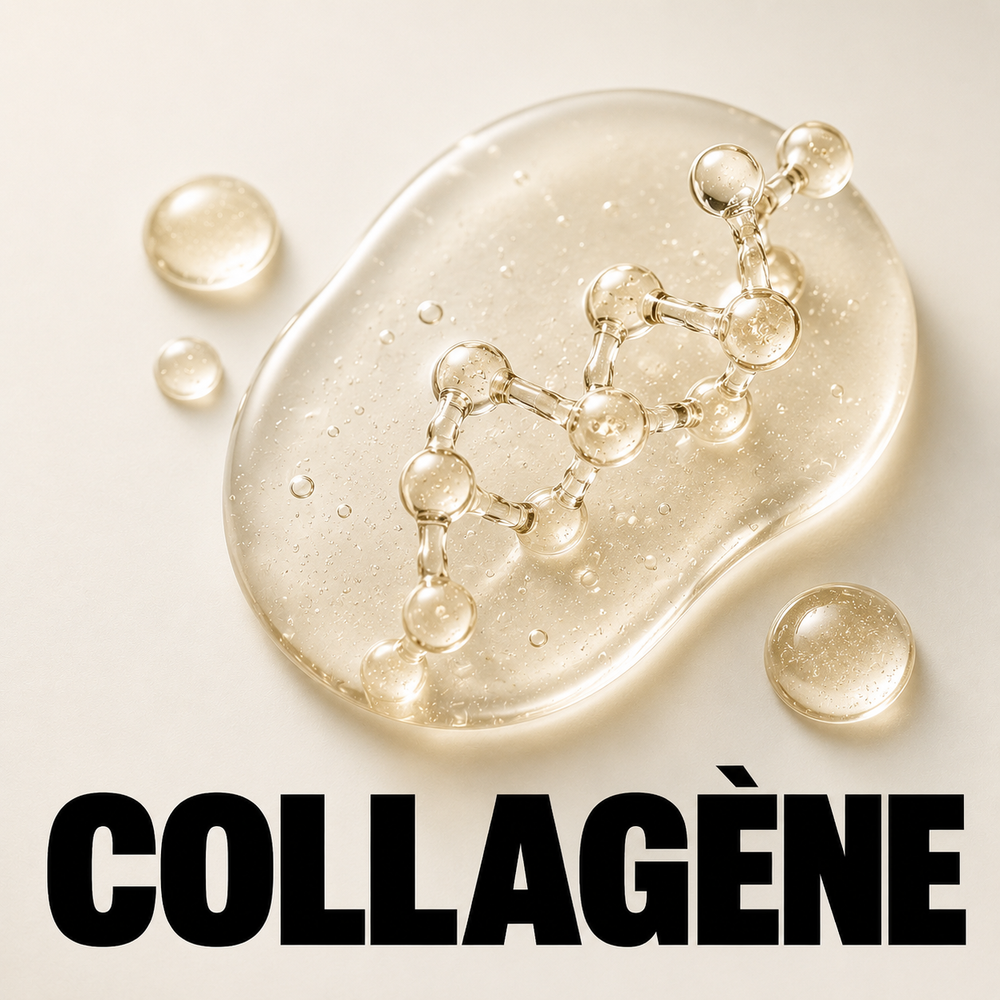 Collagène